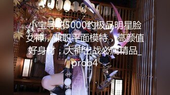 小宝寻花5000约极品明星脸女神，兼职平面模特，高颜值好身材，大神出战必属精品_prob4