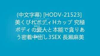 (中文字幕) [HODV-21523] 美くびれボディHカップ 究極ボディの愛人と本能で貪りあう密着中出し3SEX 長瀬麻美