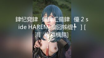 銉忋兗銉儬銉汇偒銉儓 2 side HAREM[瀹囧牬缇╄] [涓枃瀛楀箷]